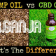 Illustration for article titled CBD Hemp Oil –Same plant, same oil? Nope.em/em